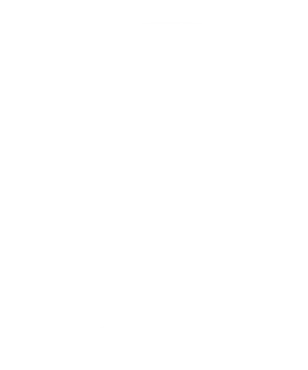 vector-image-two