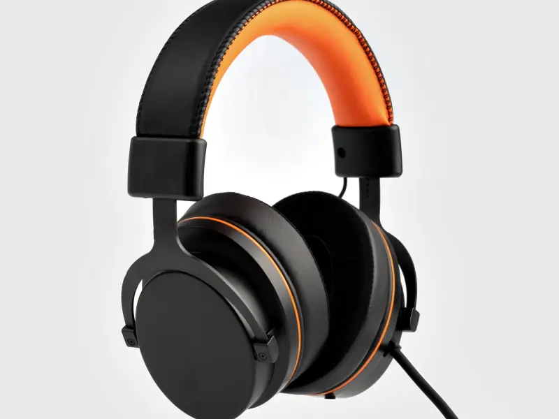 Sony WR384 Headphone